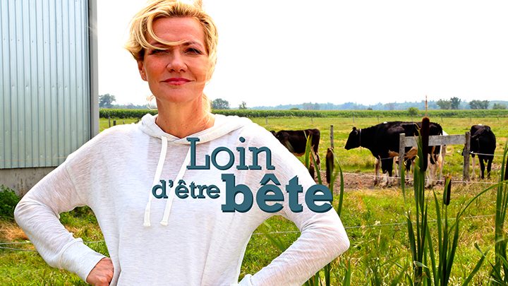 Loin d'être bête